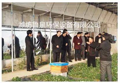 ����(ji��)ǰ����(l��i)����ɽ���r(n��ng)�ƈ@��ϲ������Ȫ���B(t��i)ˮ��ȷNֲ�ă�(y��u)�|(zh��)��ݮ�������@�^(q��)���a(ch��n)���������������ʼҿڸ�!